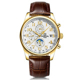 CARNIVAL Blue Hand Multifunction Automatic Mechanical Men Watch TopBrand Luxury Business watch StainlessSteel Case Sport relogio